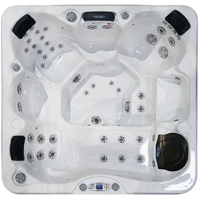 Avalon EC-849L hot tubs for sale in Stpeters