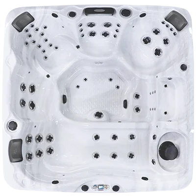 Avalon EC-867L hot tubs for sale in Stpeters